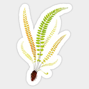 Feather fern botanical illustration Sticker